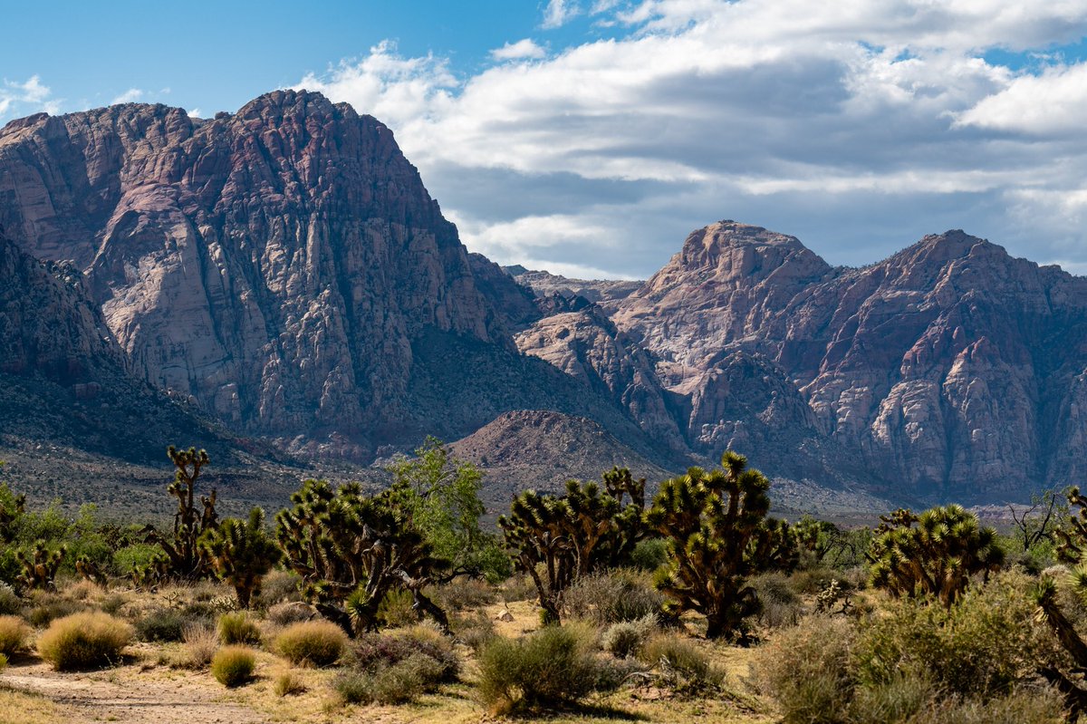 Shot at Bonnie Springs Ranch outside Las Vegas using the Nikkor 70-300 FL and D850.
#Nikon #Vegas #nikonphotography