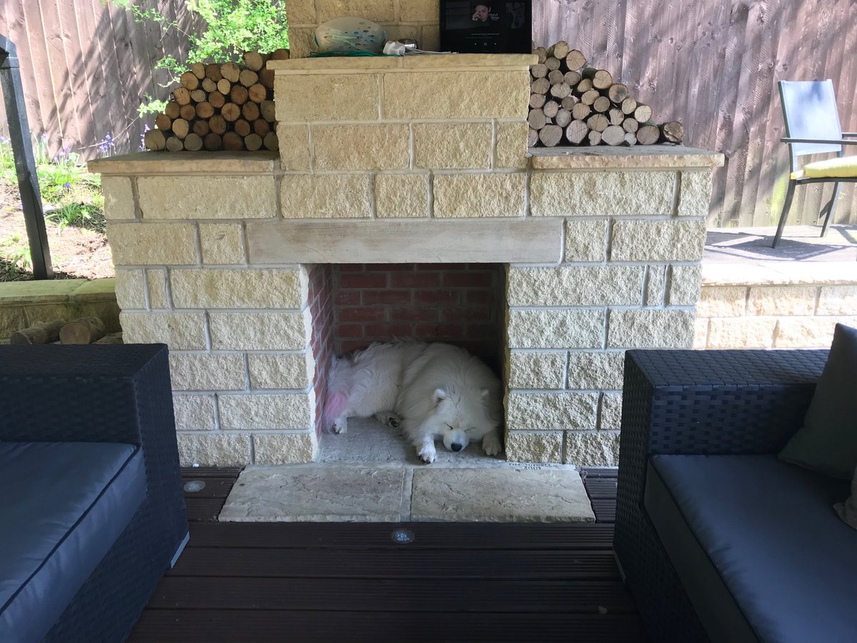When I built this summerhouse and fireplace I thought I might be able to get a fire in it, no chance ! #samoyed