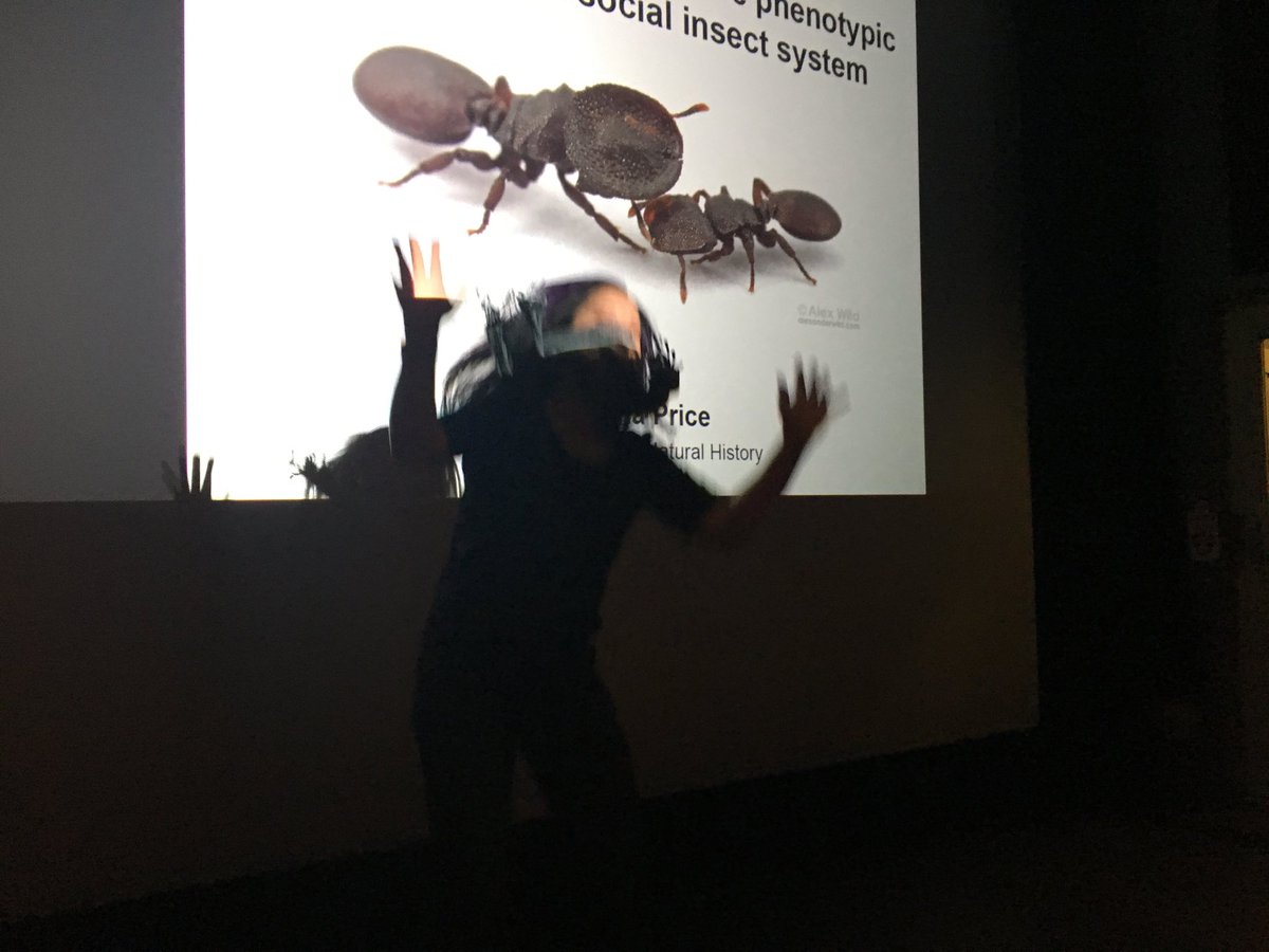 CorrieMoreau's tweet photo. Everyone is so excited for @ShaunaLPrice seminar at @FieldMuseum including her! #MoreauLab #TurtleAnts https://t.co/XdVWUc4NpJ