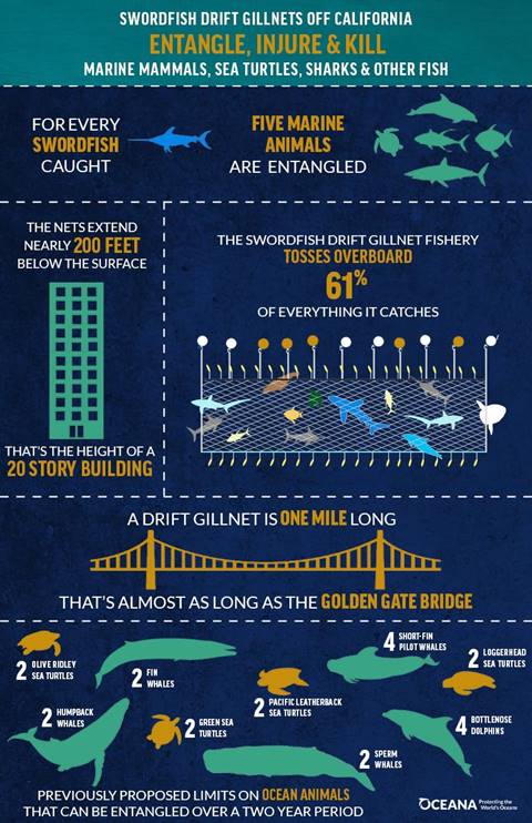 earthalliance's tweet photo. For every swordfish caught in drift gillnets off California’s coast, five marine animals are captured and often injured or killed. Californians: Tell your state senator know you support #SB1017 by @BenAllenCA. It takes 2 minutes: https://t.co/pDaGW8EjDr https://t.co/bFlS8FiSzN