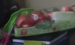 Eppelein_RR's tweet photo. Es ist Obst im Haus! https://t.co/PHzhkLYWNq