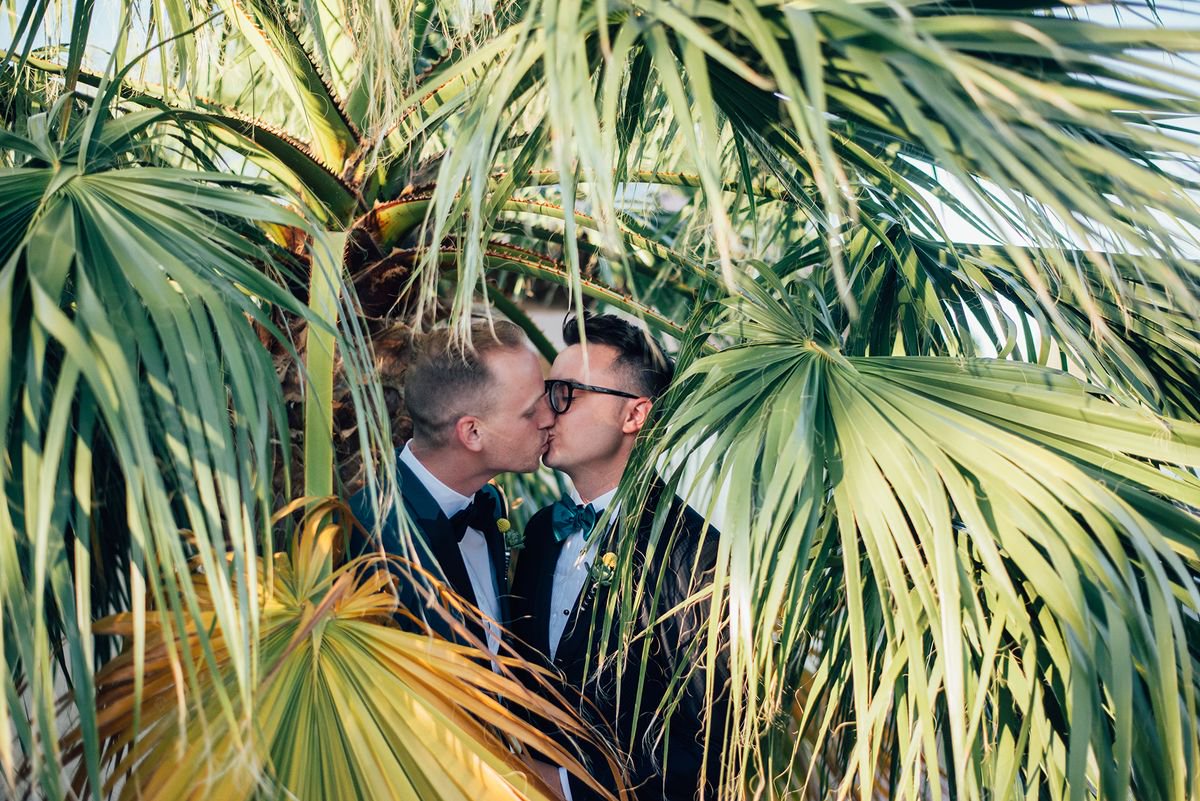 Daily feature location on #SantaCatalinaRd #PalmSprings #California #USA

Shot by Lauren McCormick - goo.gl/SSYuEF

#scouttmaps #scoutt #love #palmtrees #tropical #trees #forest #westcoast