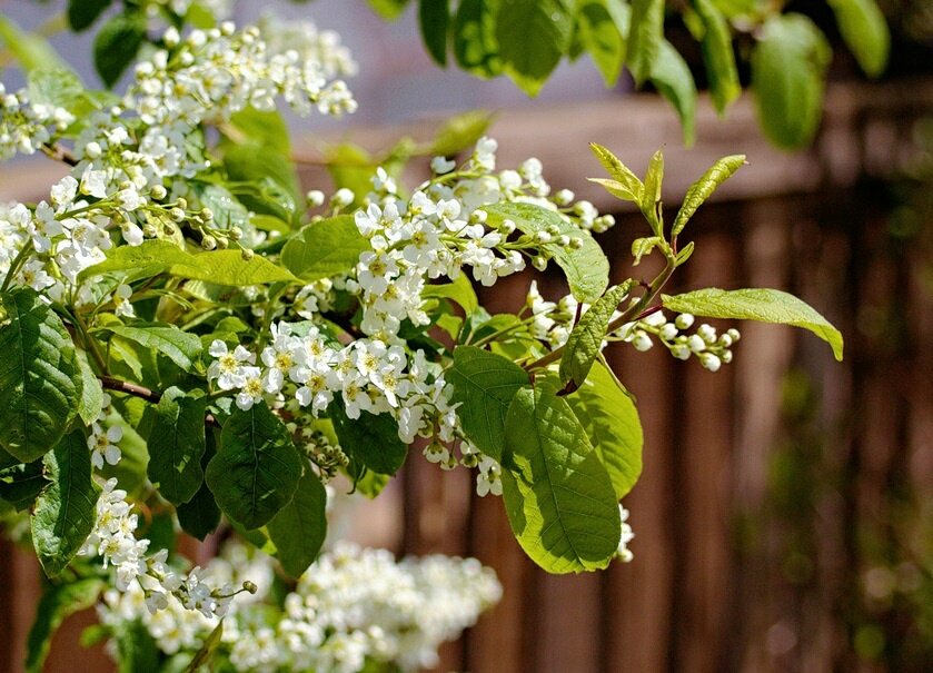 DdVWv9sWAAAzVP8.jpg:large