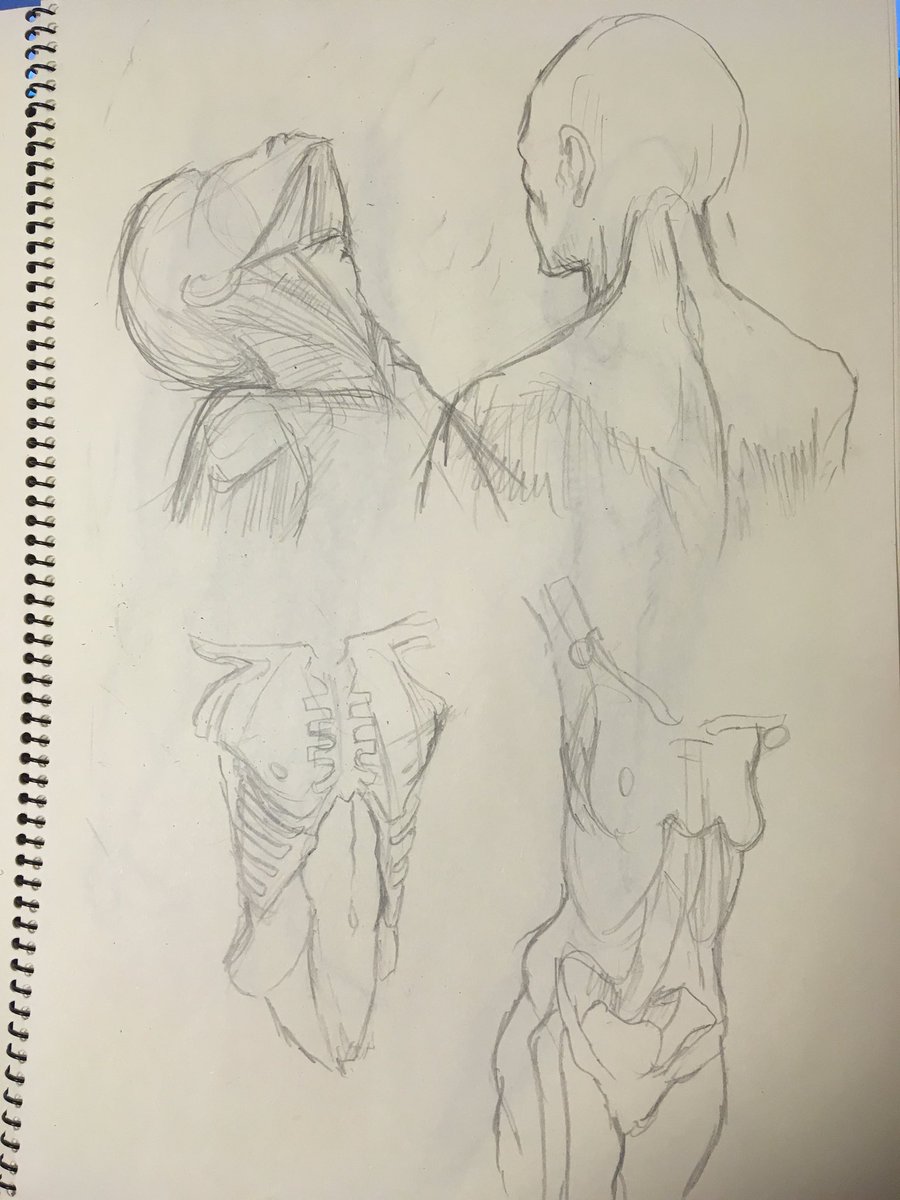 更に練習。
久しぶりにアナログで描くとめちゃくちゃ楽しいです 