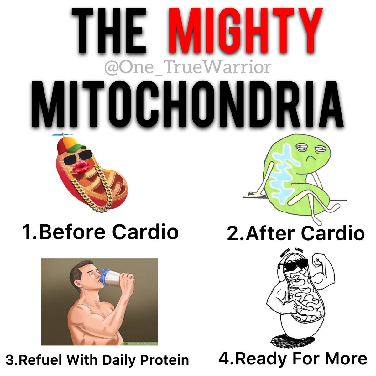 Moral of the story. On both resistance &amp; cardio training days have the suggested amount of protein intake (1.5-2g/kg of bodyweight). This is an effort to both grow muscle/strength for lifting and build this powerhouse so you can Run Forrest Run. If you have questions send it✌🏾