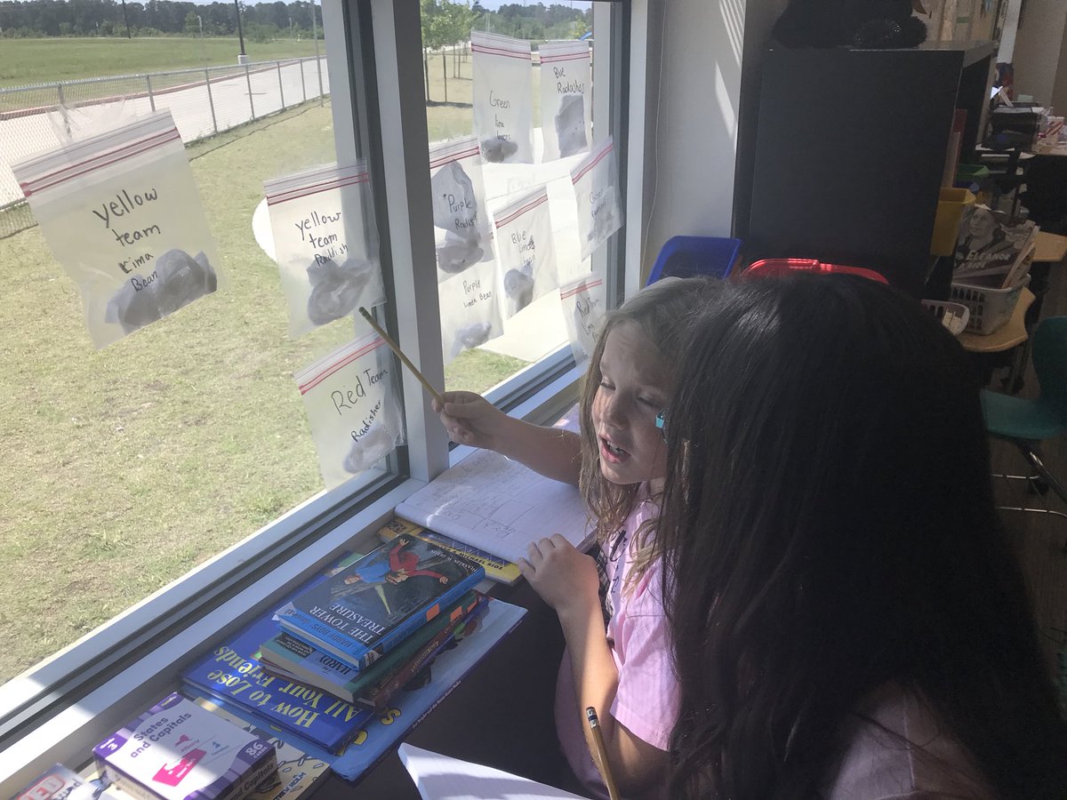 baumel_dawn's tweet photo. Life cycles observations and comparisons @MahaffeyKISD ❤️the academic vocabulary these scientists are sharing!!! #scottiescience @STEMscopes #langmattersKISD https://t.co/8KqNNIlPQh