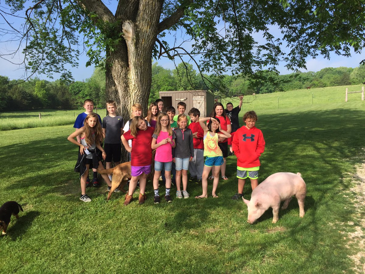 lbshowpigs's tweet photo. It was great to hang out with these kids from SMS @stvcardinals today! We talked about all aspects of the swine industry and they had great questions (mostly about certain anatomical parts of the boars)! Always a great day when you can #AdvocateForAgriculture! #FuturePigFarmers🐷 https://t.co/GyW3qTIsoJ