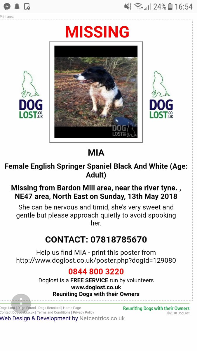rosieDoc2's tweet photo. MIA IS HOME SAFE ❤️thank you ❤️
RiverTyne #NE47 #NorthEast Sunday 13/5/18
#Locals has anyone spotted her wandering round #lost is there anywhere she could be stuck?
@sar_dogs can anyone help at all? She should be home as she knows the area well
🐾💔owners really worried💔 https://t.co/71I5rLhAZO