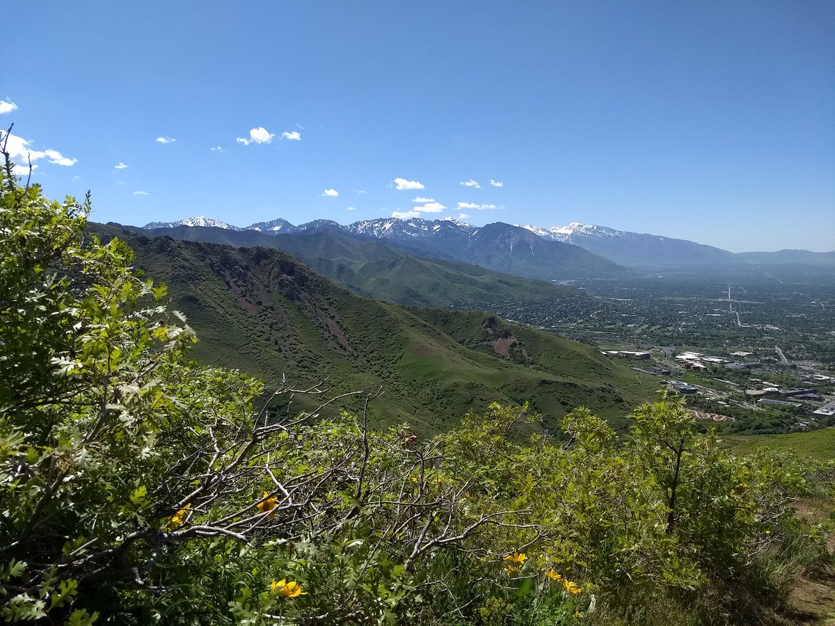 DKK519's tweet photo. Had to take a break from watching video games to enjoy this beautiful day #RPGLB2018 https://t.co/qjqix5vmPa