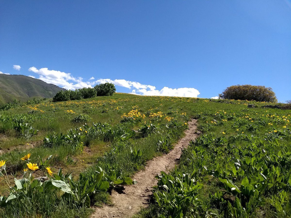 DKK519's tweet photo. Had to take a break from watching video games to enjoy this beautiful day #RPGLB2018 https://t.co/qjqix5vmPa