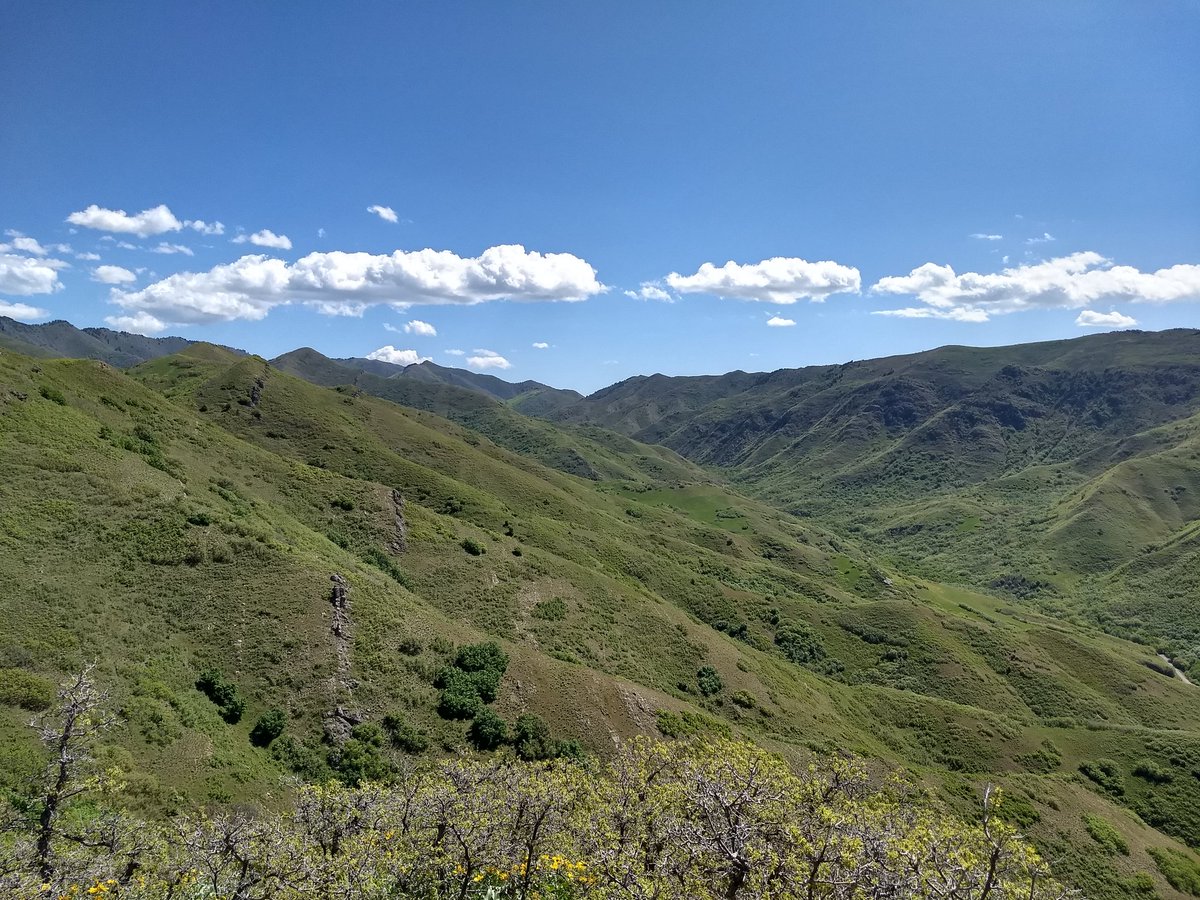 DKK519's tweet photo. Had to take a break from watching video games to enjoy this beautiful day #RPGLB2018 https://t.co/qjqix5vmPa