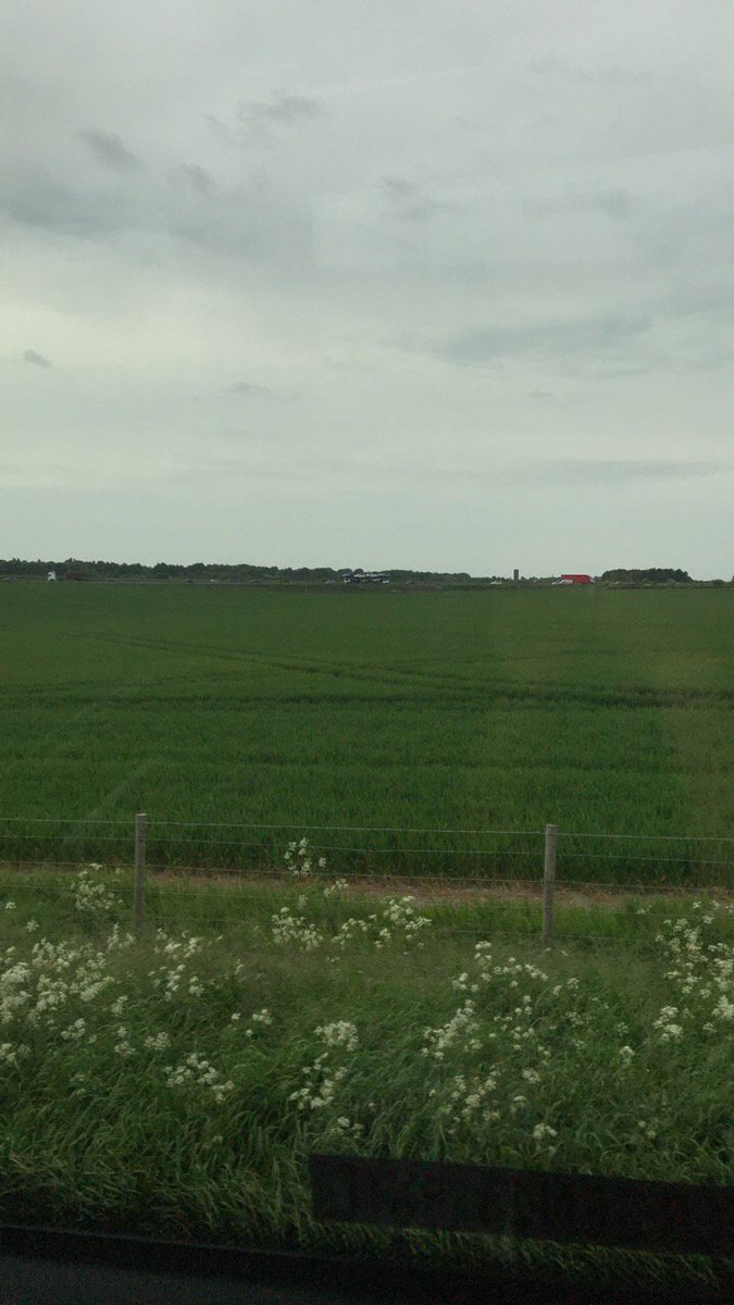 AliceKeeping's tweet photo. Dear @GWRHelp my respect, trust (and stomach) for you have gone out the window this evening thanks to my coach tour of Oxfordshire by a driver navigating his way by mobile phone! #GWR #newbury #sortitout #yayforseatbelts #shouldvebeenonthatroad https://t.co/0ewXXTc1mc