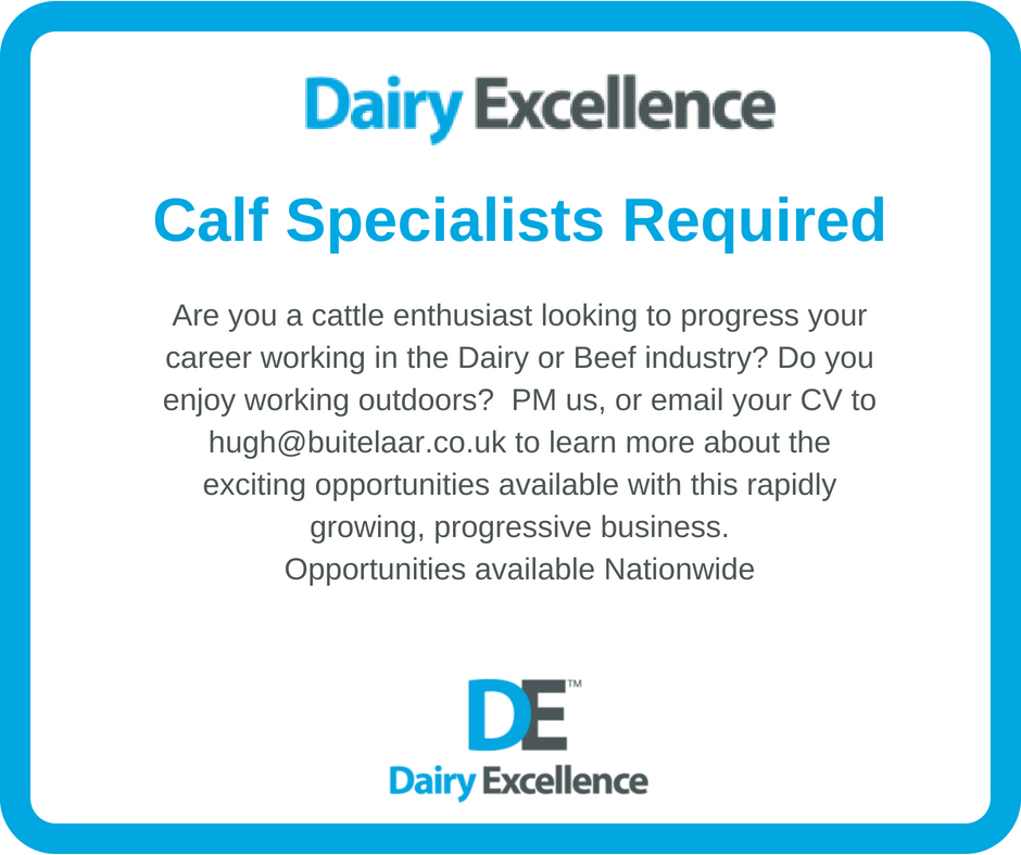 Dairy Excellence are looking to expand their team.  If you love working with #livestock &amp; think you could succeed in this role please get in touch, or share with someone you think would be a brilliant calf specialist. loom.ly/K2okd3c
#JobsInAg #CalfRearing #TeamDairy