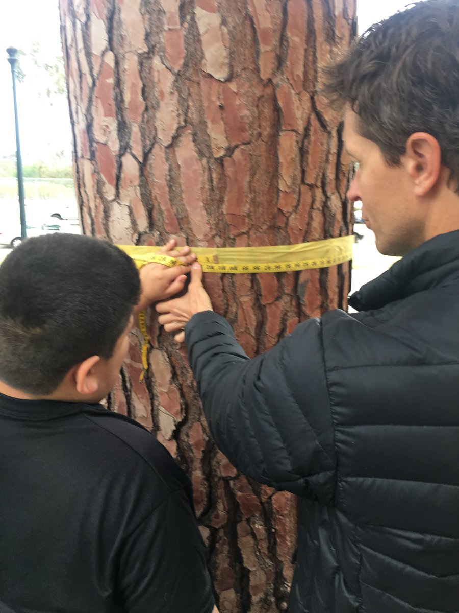 morgiejb's tweet photo. Learning about the benefits of trees today with @TreeSanDiego and students from Porter Elementary. First up, measuring circumference of the Canary Island Pine! #terrifictrees #cleanair #SDGEgiving https://t.co/lCnfDITcSq