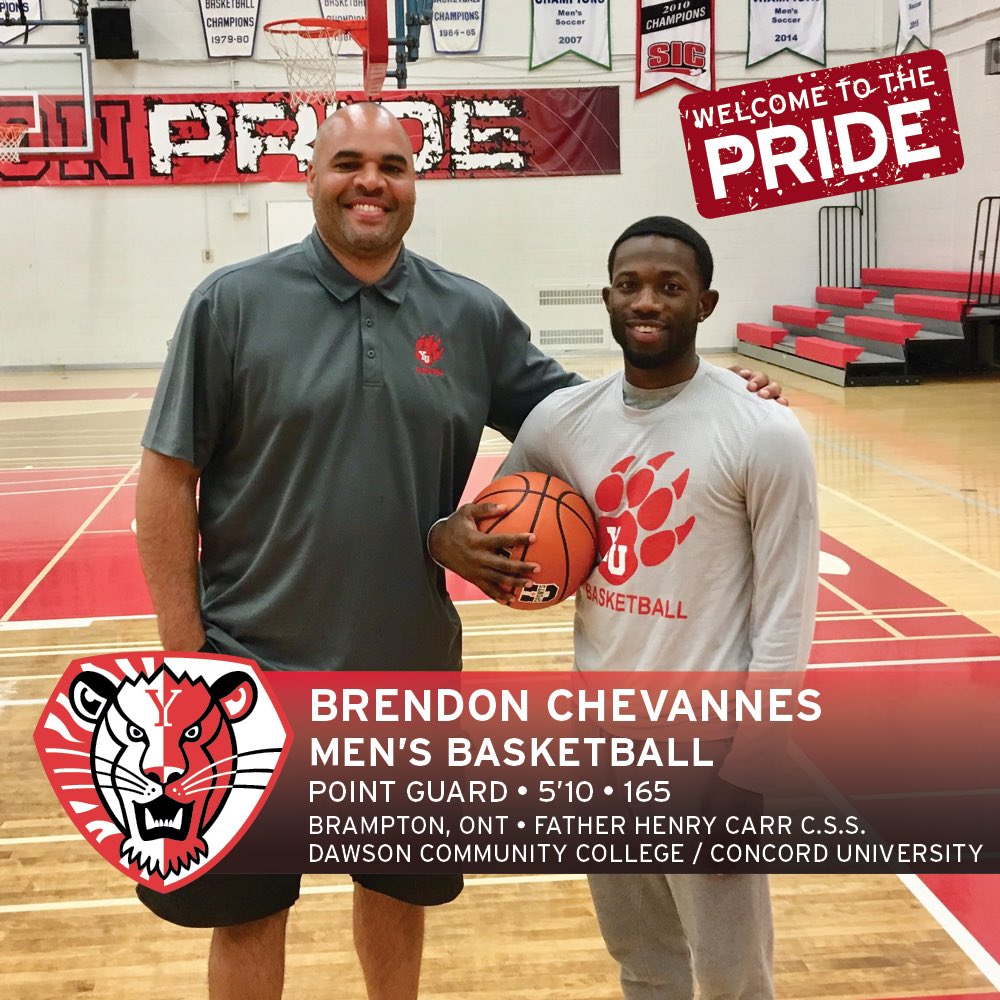 NatePhilippe's tweet photo. Welcome Brendon Chevannes to York Lions Basketball family!! Brendon is coming home from Concord University (NCAA D2)! Brendon’s been a Winner, leader &amp; relentless competitor everywhere he’s been &amp; led Henry Carr to 4 OFSAA Championship appearances! #LionPride #YorkUBasketball🦁🏀 https://t.co/ervuuGVQTK