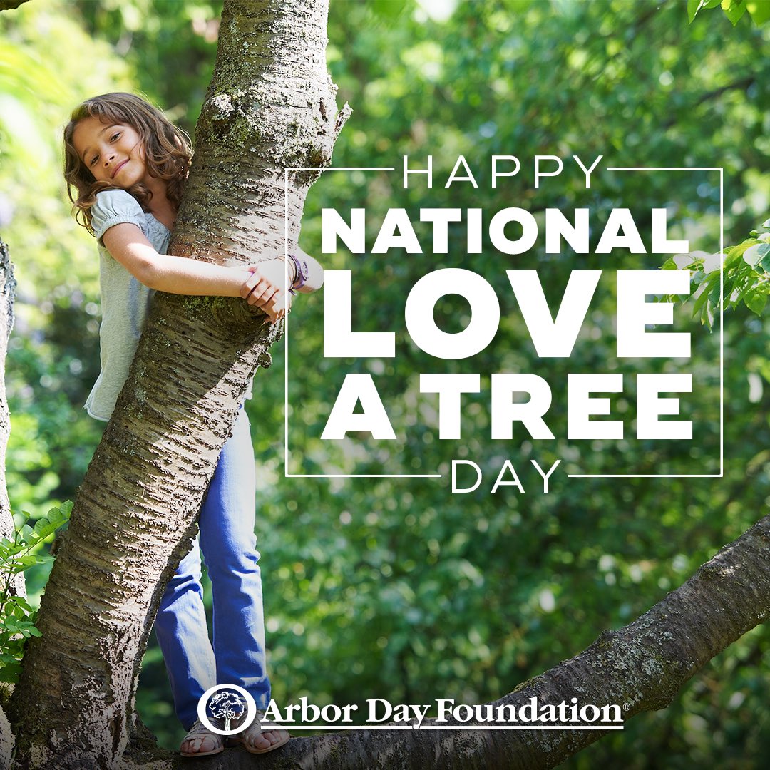 Hug A Tree Day 2020 – What is Arbor Day? Raise awareness about trees ...