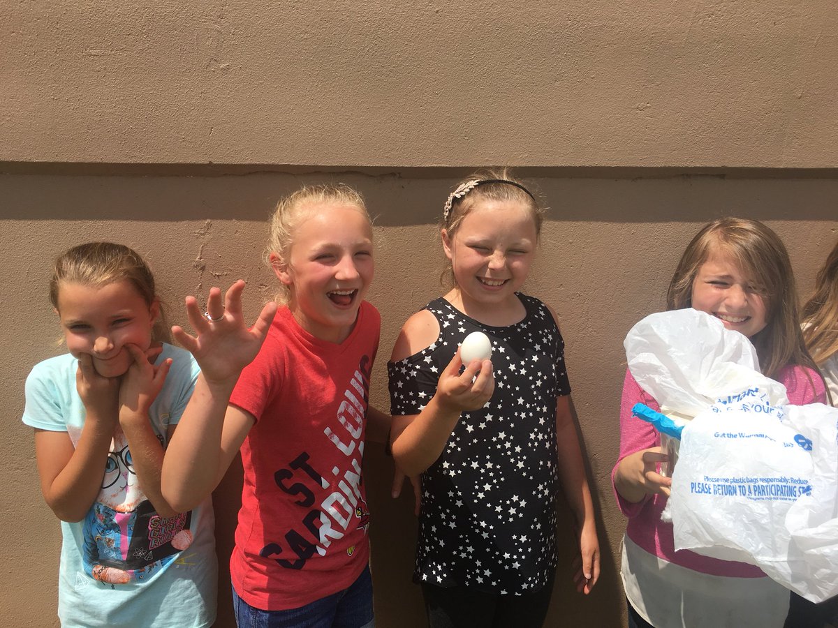 3rdBecker's tweet photo. These 4 teams all created a contraption that kept their egg alive after a 1 Story, 2 Story, and even 3 story drop from our building!  #mceloves https://t.co/QlIve66emo
