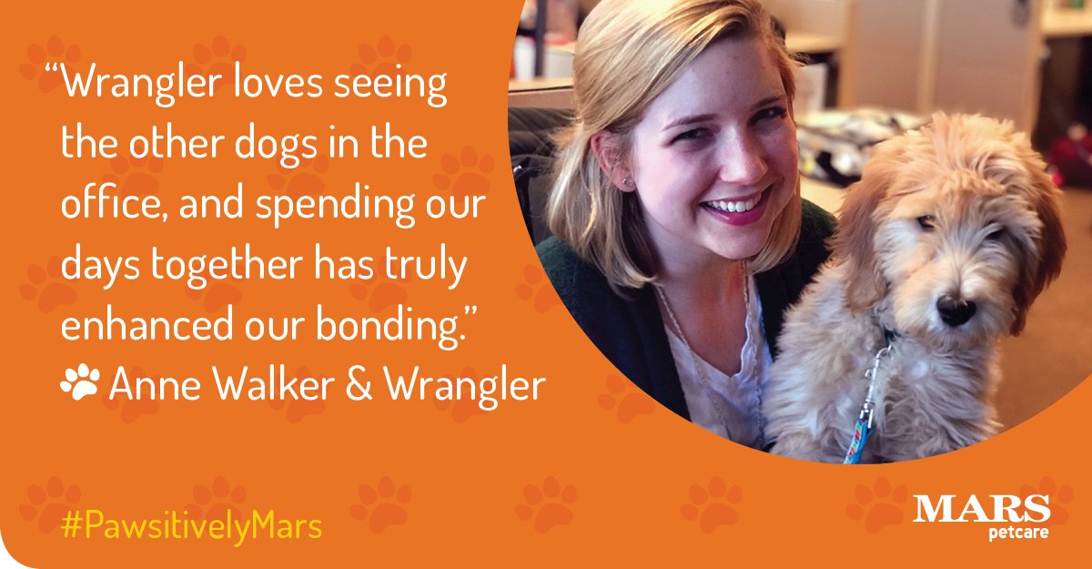MarsPetcareUS's tweet photo. Why do #PetsWorkAtWork? Time together enriches our day and theirs. "Wrangler loves seeing the other dogs in the office, and spending our days together has truly enhanced our bonding," says our Associate Anne Walker. #PawsitivelyMars https://t.co/kR34t1oXK5