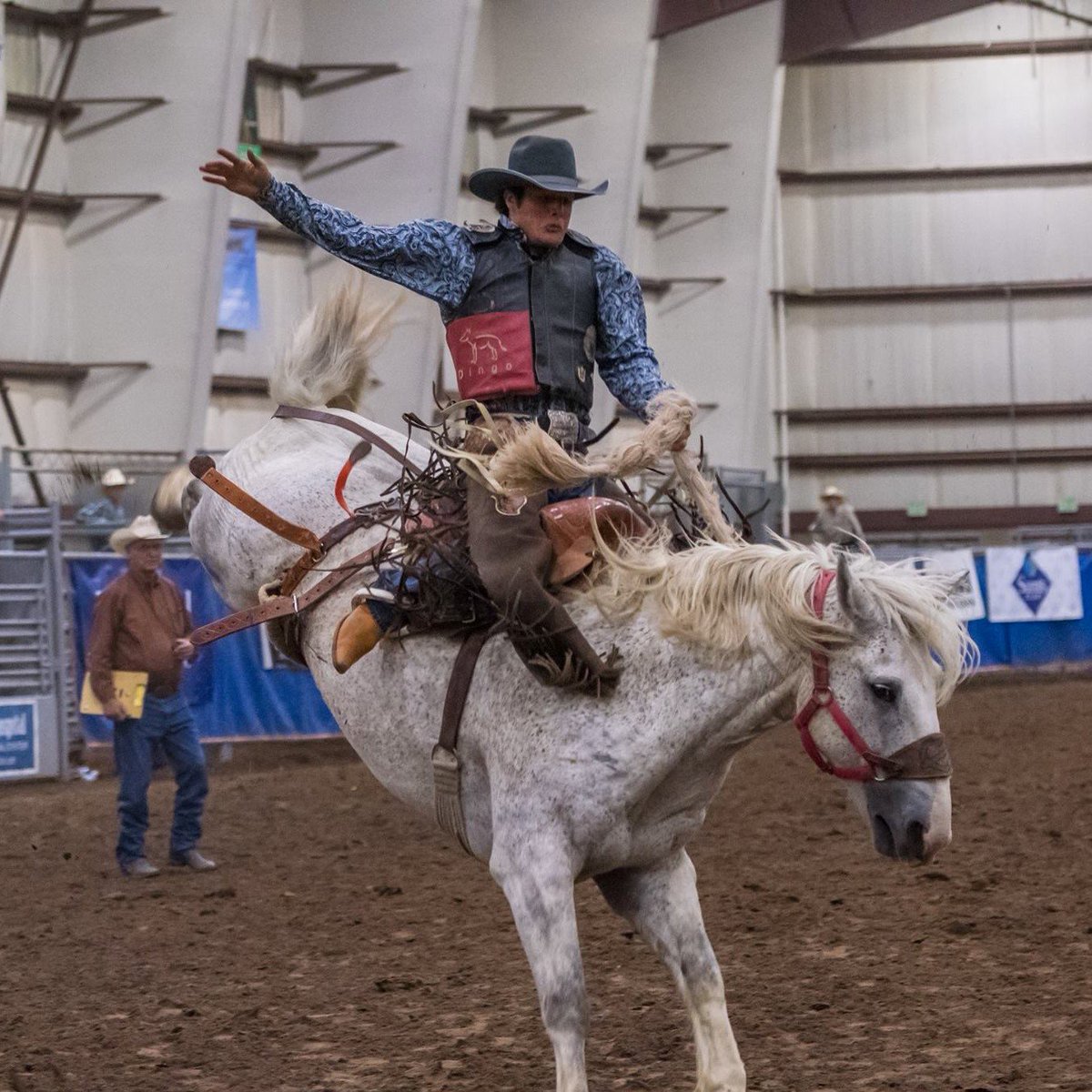 DiscoverDavisUT's tweet photo. Get your tickets TODAY for two of @DavisCountyFair's special events: @BYUVocalPoint & RMPRA #Rodeo. Buy at https://t.co/HTc8UxKLZH
•
Show Dates:
#BYUVocalPoint - Aug. 15th
Rodeo - Aug. 17th & 18th
•
Ticket Pricing: $5-$20
#DavisCountyFair #DavisCountyUtah #PlayinDavis https://t.co/WU0eDN40JB