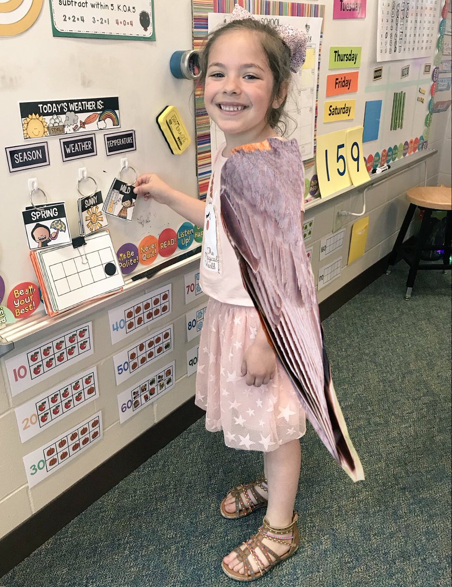 DoInkTweets's tweet photo. RT @Olsen_BH: If you could have any animal's special feature, whose would you choose? 🦒🦈🦎#BHsailors #OpinionWriting @DoInkTweets https://t.co/woC1yNZGQp #doink #greenscreen