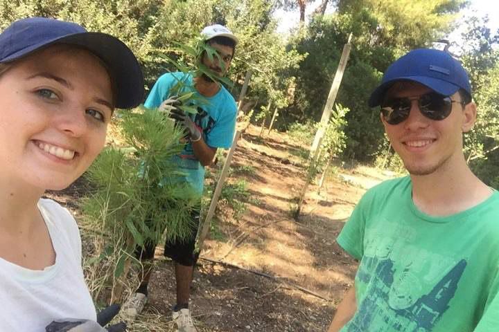 Making_Projects's tweet image. Let it Green, una oportunidad para hacer un voluntariado mediambiental en Grecia para jóvenes entre 17 y 30 años
projectecalidoscopi.wordpress.com/2018/05/10/let…
#talentmatching #sameworld
