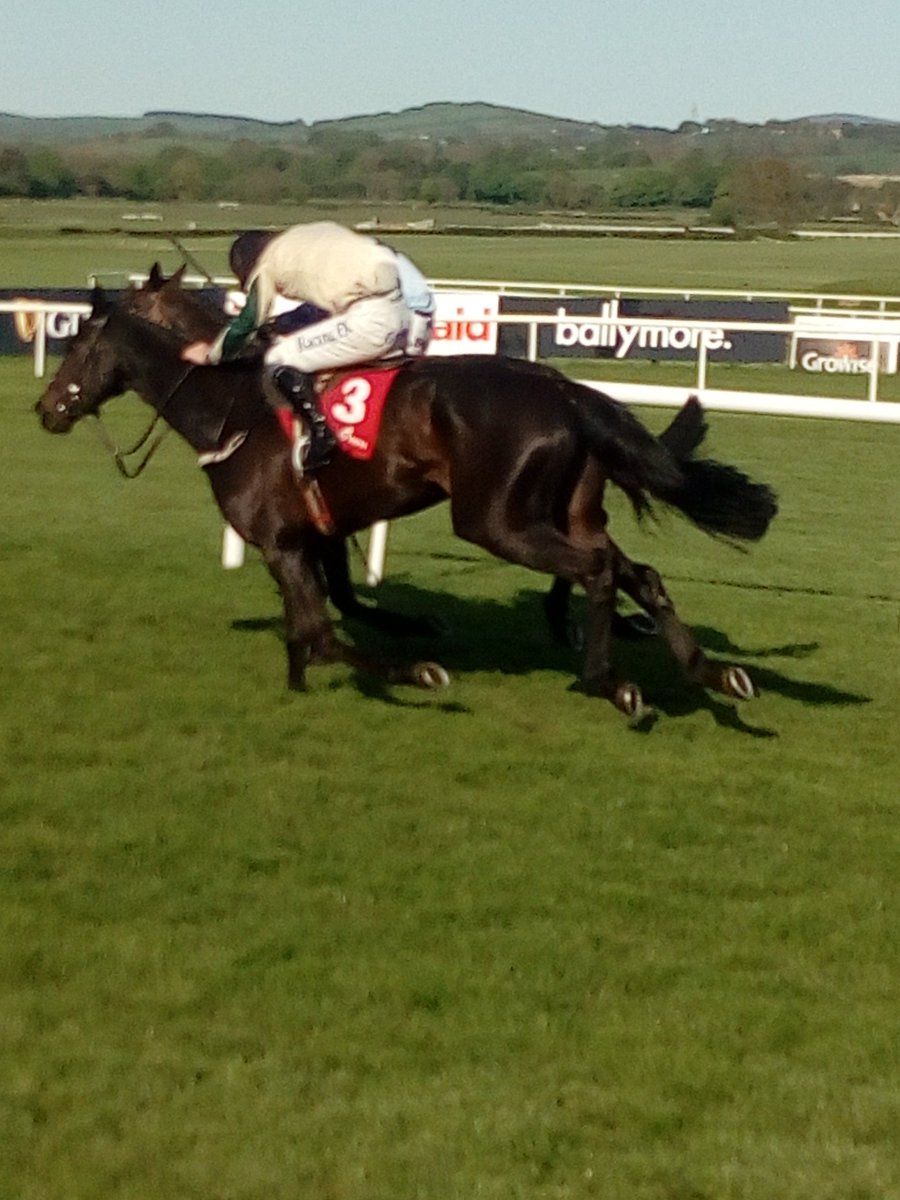 JoeSeward1's tweet photo. Beautiful evening here
sunny @punchestownrace
@Robbie_Power_ at his best just denies @WillieMullinsNH ROBIN DES FERBET as #LIGHTTHAT @Jessica_Racing @kateharro1989
confirms,festival promise here 3rd over hurdles .The key has been application of the tongue tie..
#Punchestown https://t.co/12lRRtX2V3