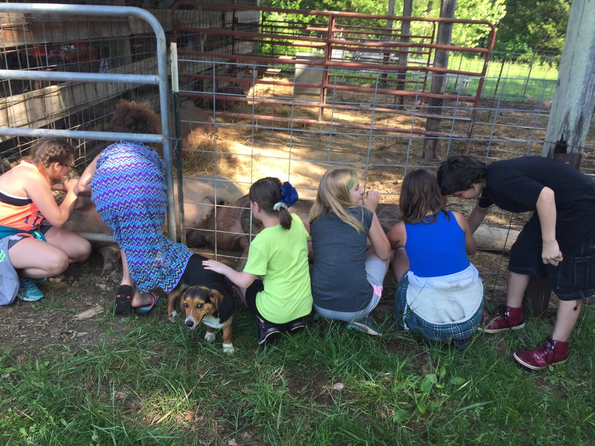 lbshowpigs's tweet photo. The sows and the dogs both are loving all the extra attention today too!! Love getting to teach kids about what I love to do! #FuturePigFarmers #AgInTheClassroom https://t.co/dNymb8yAVV