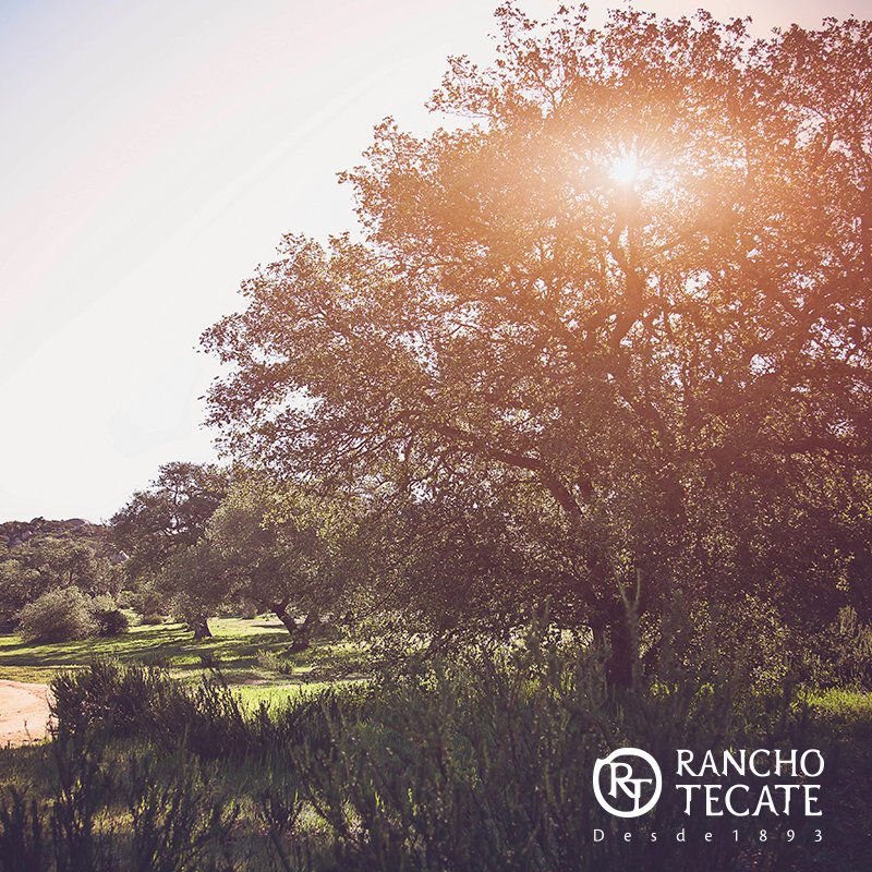 Invierte en Rancho Tecate!🤠🍇 Crea,sueña y disfruta de la oportunidad de vivir tus sueños.Firma tu terreno con $395 USD. 🌄
ranchotecate.mx/encinos/.