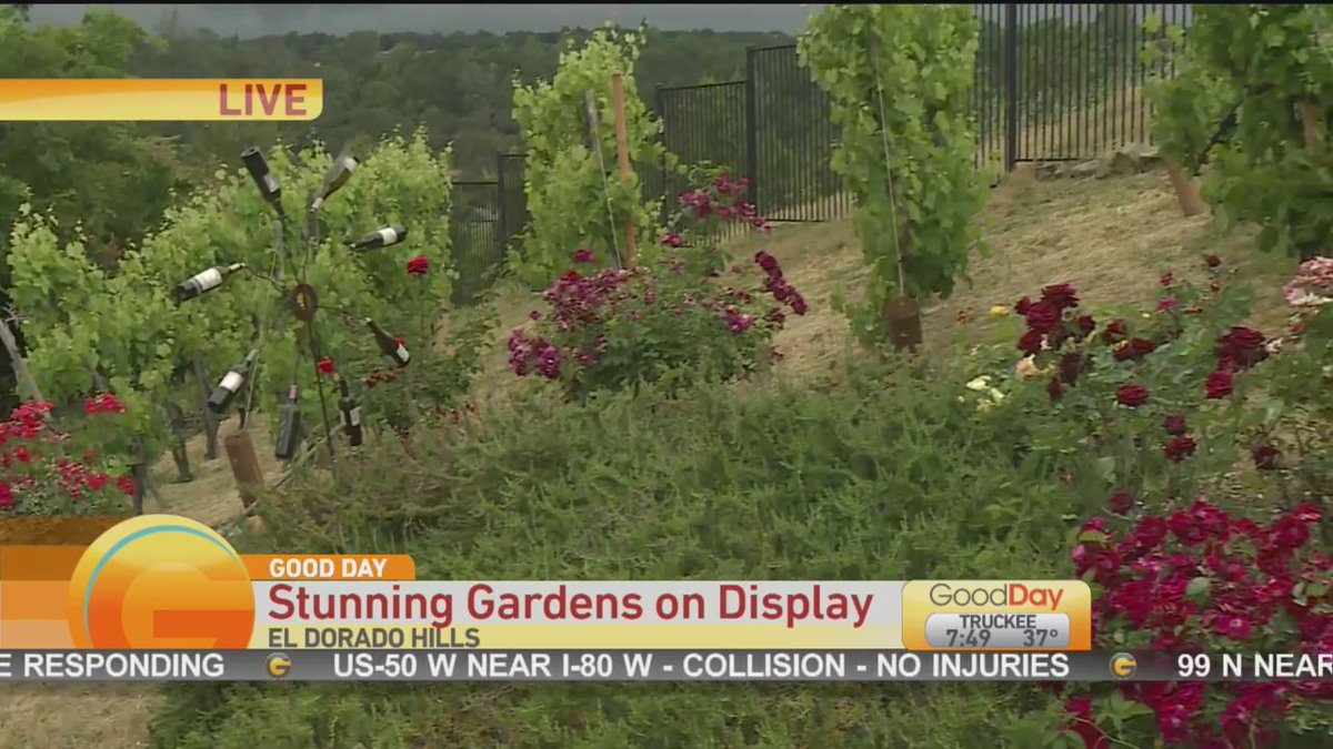 dcap22803's tweet photo. Featuring @ALSFoothills in #GardenTour #VetRide #Hangtown #RiverCleanUp #Market #GradWalk #MissCaliPetite #WomensBuild #ElijahJaron and More Today in the News https://t.co/LFxSjfIVN8
https://t.co/bZZokd6Dym
Segment Video
https://t.co/mZi4U0Jgyl
https://t.co/z7KkZAArin https://t.co/6PtoKTbi15