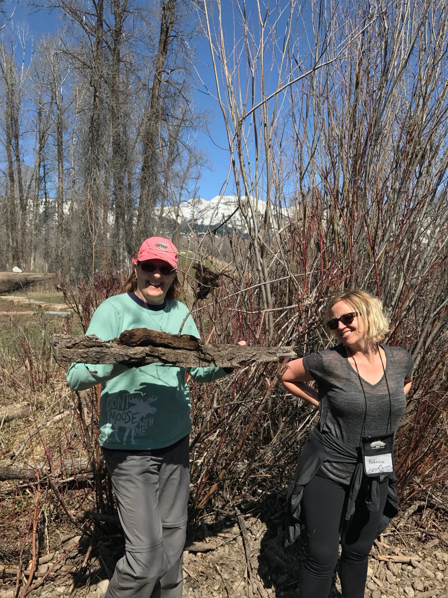RendezvousPark's tweet photo. #RPark is a great place for non-profits to program! Our Director recently participated in @tetonscience “In Mud Workshop”! Thanks to the @LORfoundation we have been able to continue reclamation of the space while keeping the park open. #communityconservation #LORFoundation https://t.co/UTWx0HCxPR