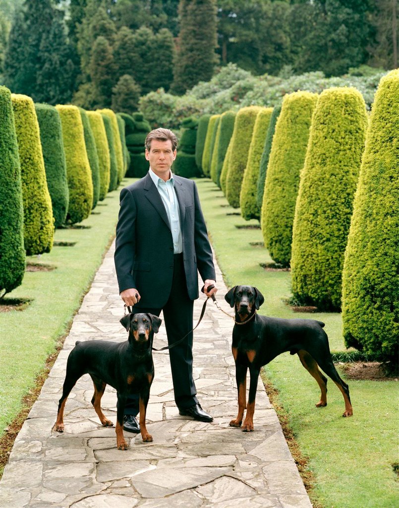 Happy 65th birthday to Pierce Brosnan today 