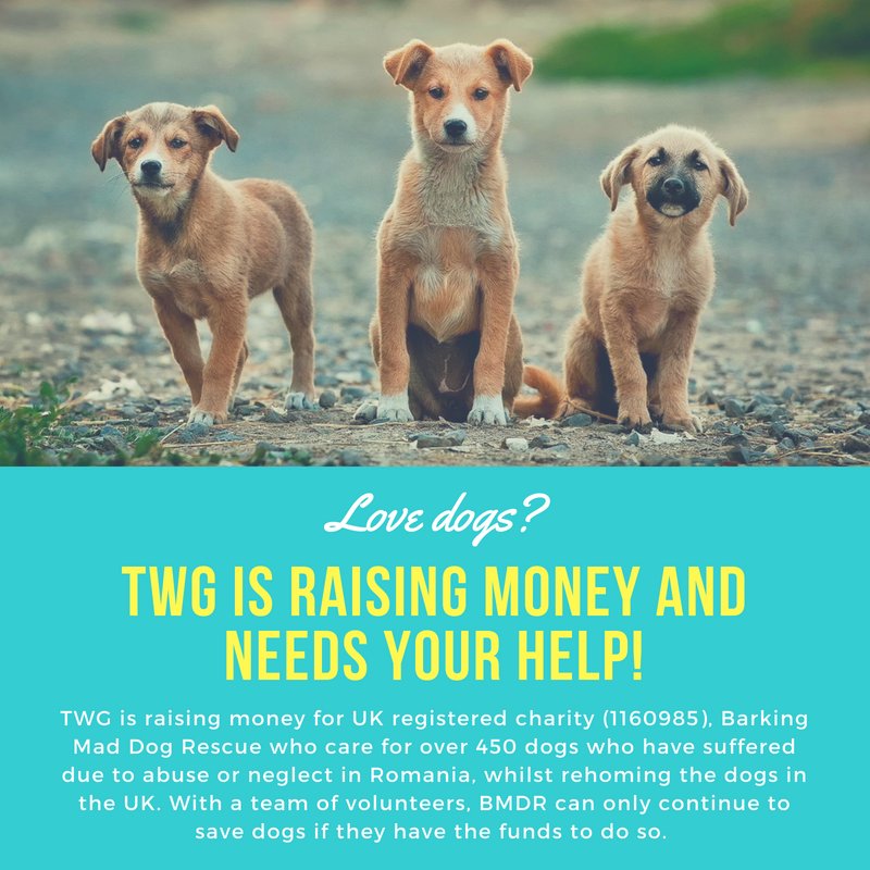 kaishajayneh's tweet photo. #SignedBookAuction. Raising money for Barking Mad Dog Rescue (@BMDRdogs) #Rescuedogs #RaisingMoney #BMDR #Auction https://t.co/8IwJx64d4P https://t.co/3OpAtnvwSI