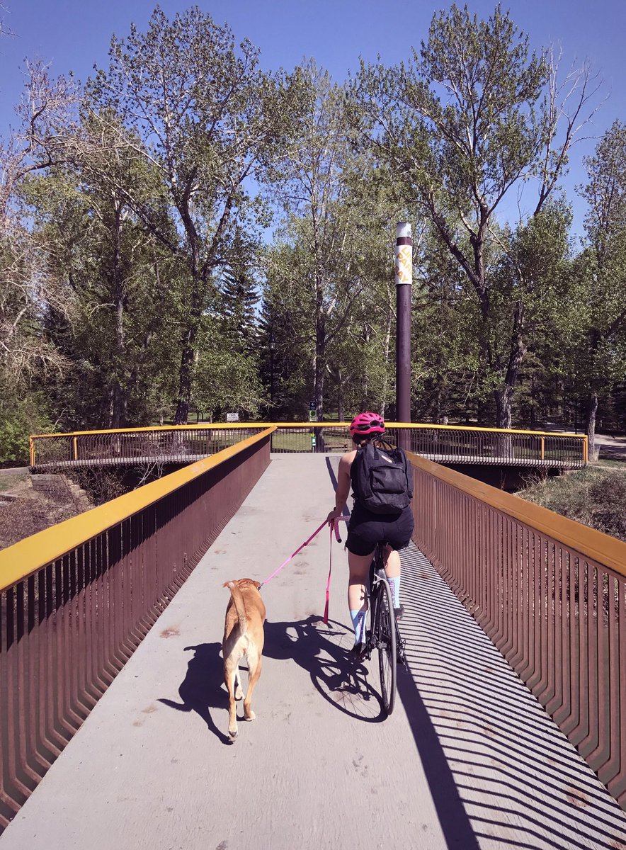 When Winter reserved seven months of the year, and the dog days of Summer are creeping closer, you find yourself in that narrow bridge of time where it's not too hot, and not too cold - it's just right.

#HotSauceCycling