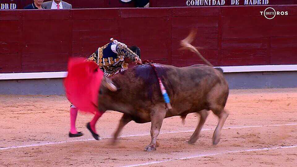 Javitaurino's tweet photo. Cañón https://t.co/o73HQNHdkF