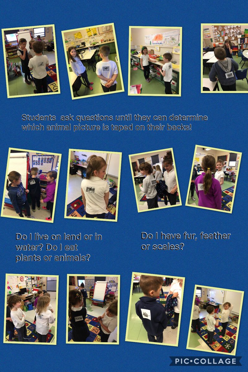 AMcGKinder's tweet photo. Students had to ask questions about habitats, food, physical appearance and special adaptations to try to figure out which animal picture was on their back! @NLESDCA @SFOAschool #funtimeswithscience #animalcharacteristics #questioningandanalyzing https://t.co/SiTE8Iuh1M