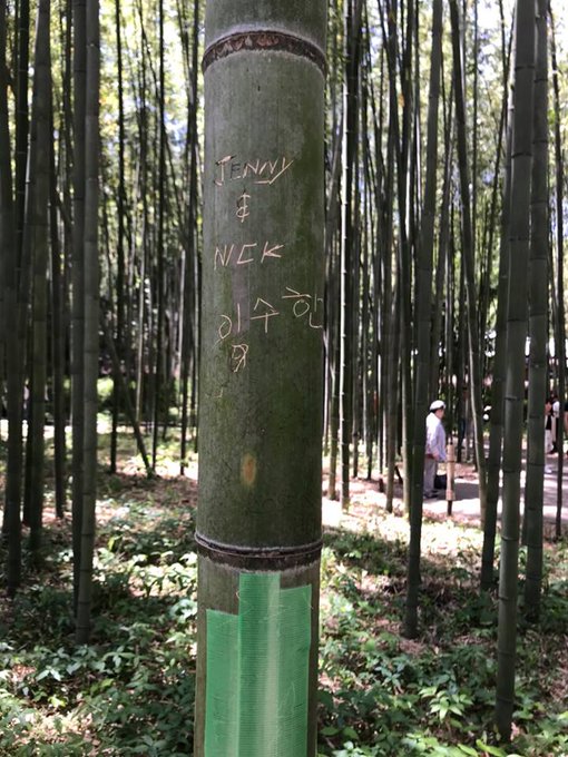 竹林に落書き 京都 嵐山の竹林 約100本の竹を刃物で傷つけ中国語やハングルほか落書き まとめダネ 竹林に落書き 京都 嵐山の竹林 約100本の竹を刃物で傷つけ中国語やハングルほか落書き まとめダネ