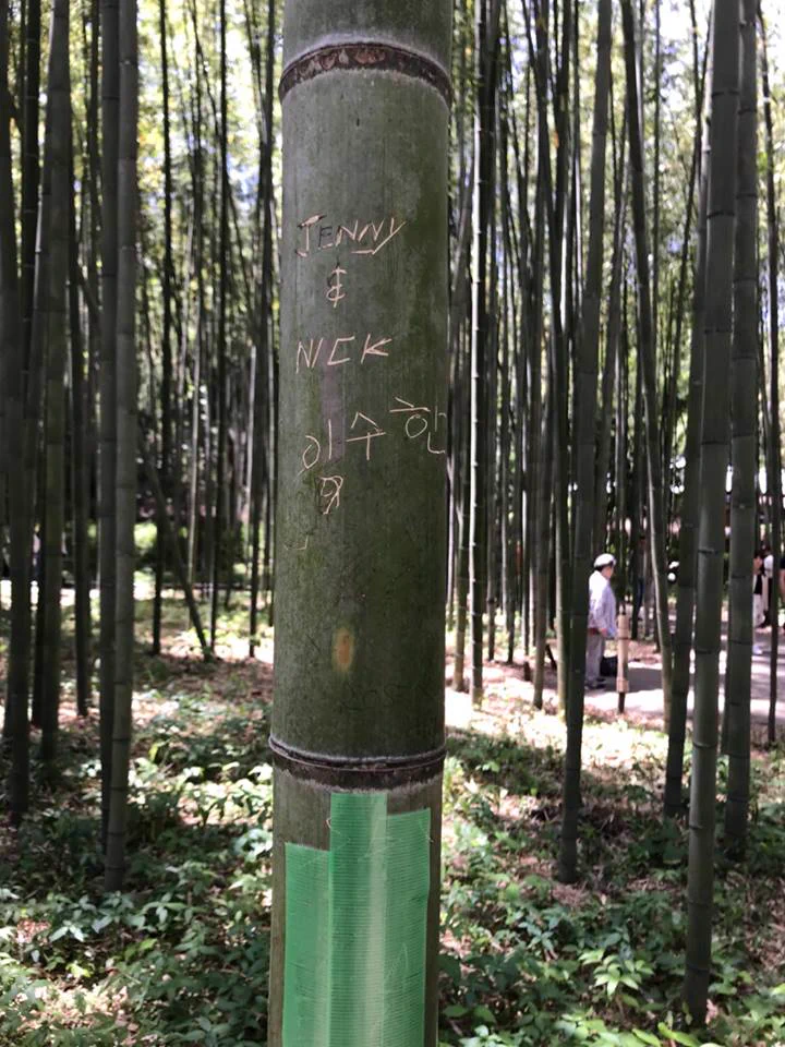 やめて！京都の嵐山の竹林に落書き…竹に付けられた落書きは一生消せない…