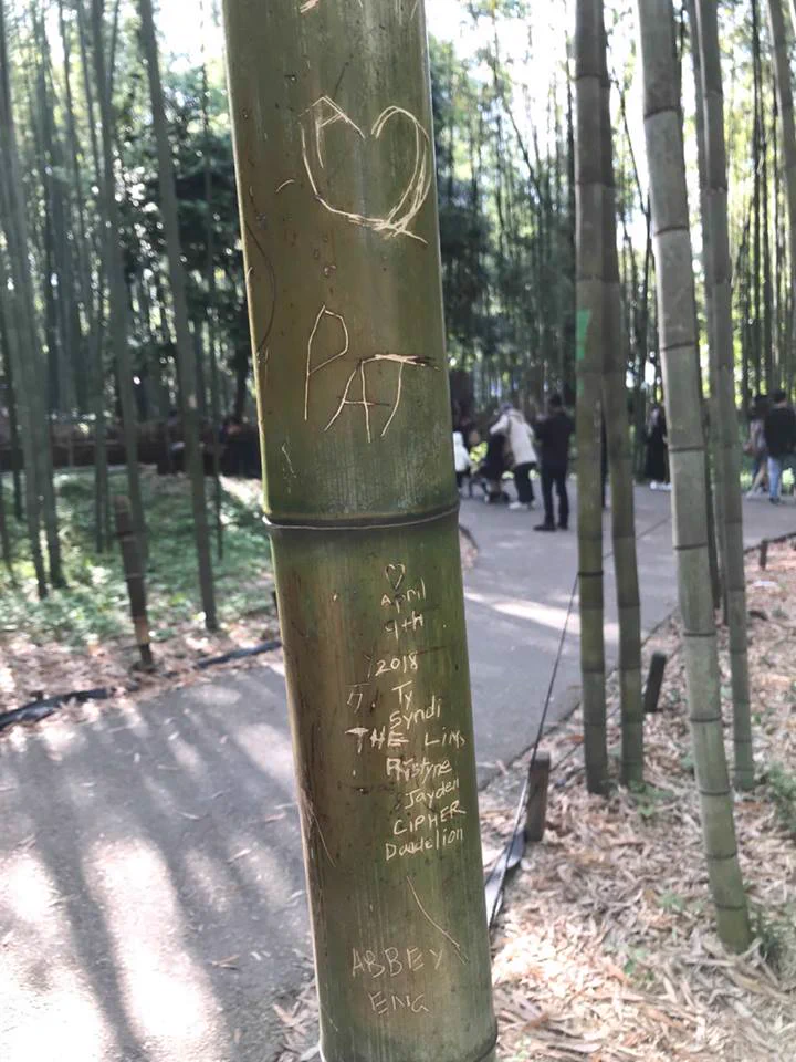 やめて！京都の嵐山の竹林に落書き…竹に付けられた落書きは一生消せない…