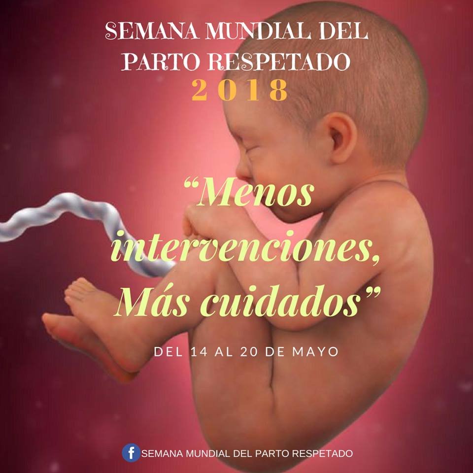 draaurelia's tweet photo. Semana Mundial del Parto Respetado con el lema "Menos intervenciones, más cuidados"

Porque todas las familias tienen derecho a vivir un nacimiento respetuoso y a recibir la atención médica y acompañamiento que merece este maravilloso acontecimiento. https://t.co/ASSmOP10Qq