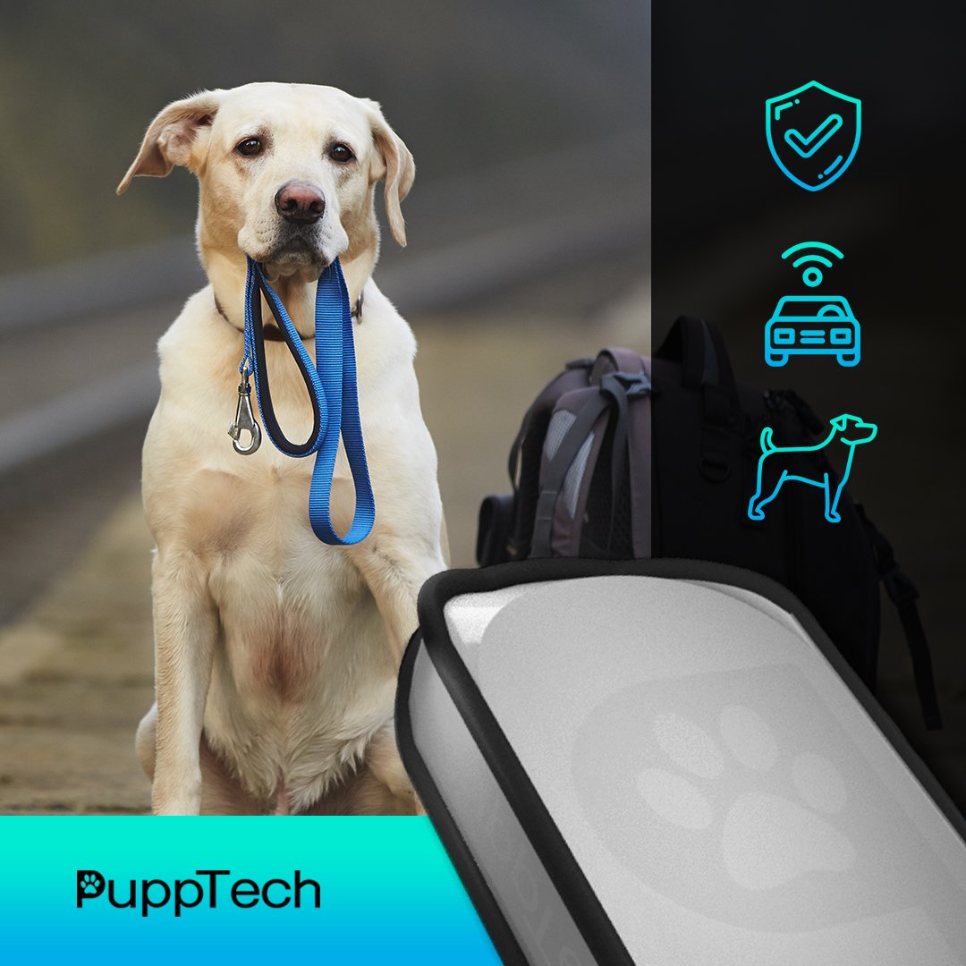 PuppTech's tweet photo. The PuppComm isn't about us. This is a tool designed for our amazing dogs who live their whole life to love and support us. We need to take care of them, show them the world, and keep them safe! #safety #puppcomm https://t.co/kdbXsKXT4D