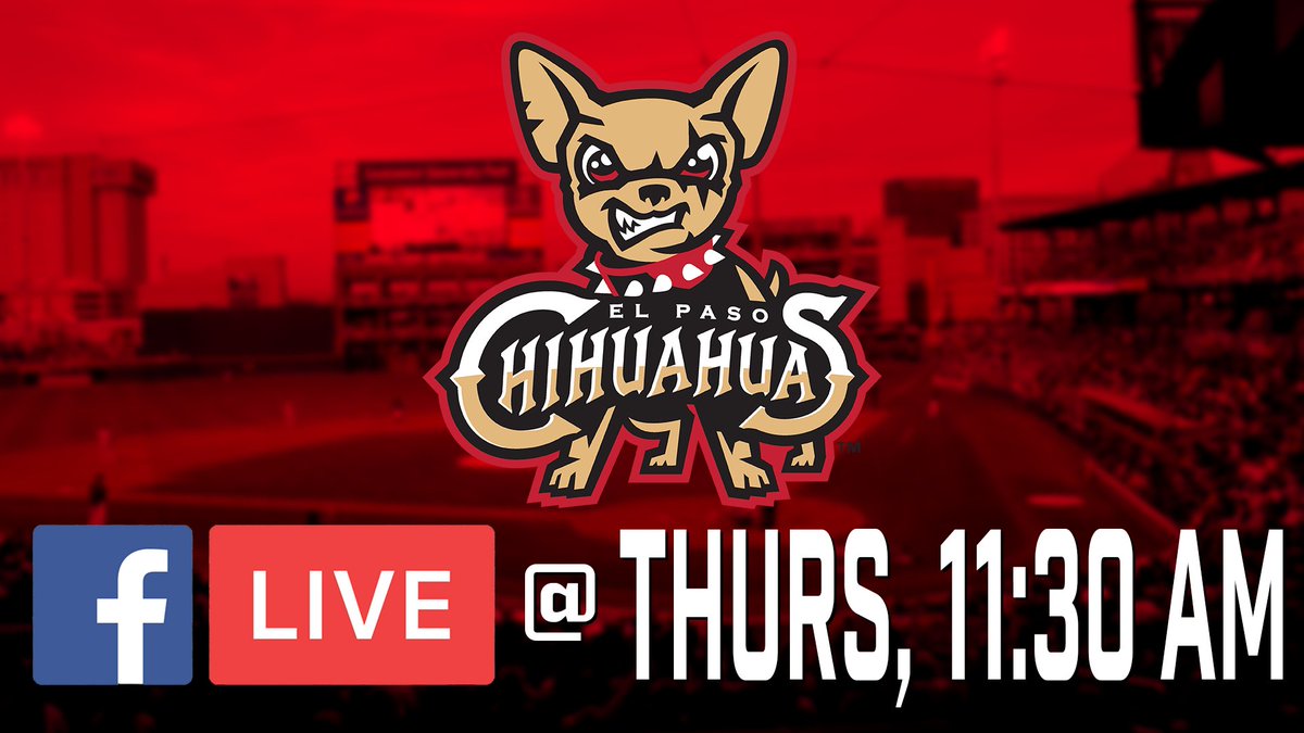 epchihuahuas's tweet photo. We will be having Malakhi's official press conference tomorrow at 11:30 AM, live on Facebook!  Tune in to meet the newest member of your #EPChihuahuas! #MalakhiDay https://t.co/SxVUe4oVYP