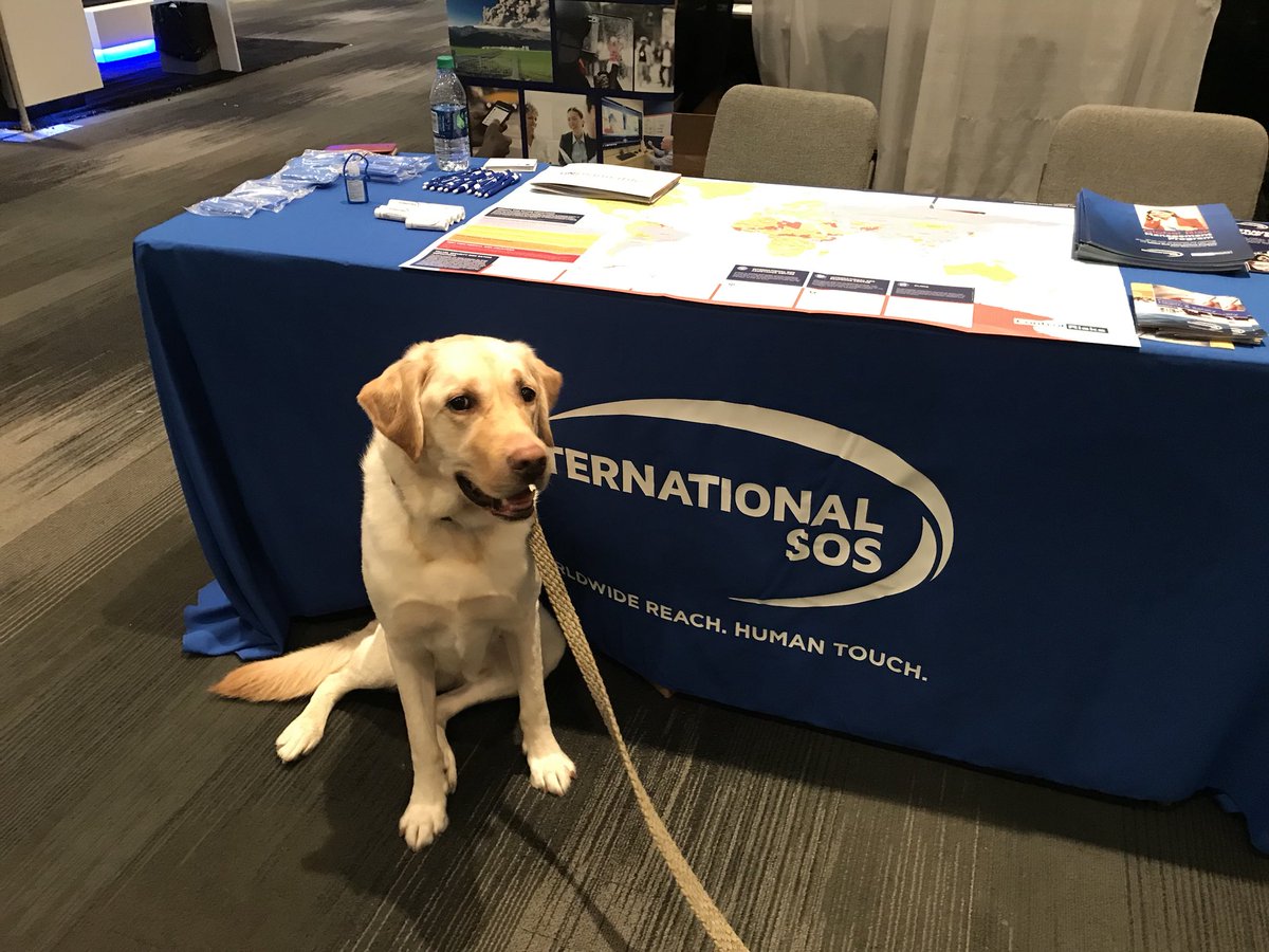 JeremyProutSOS's tweet image. Come see @IntlSOS at booth 526 at the #ASISNYC18 conference. Yes, we have a dog!