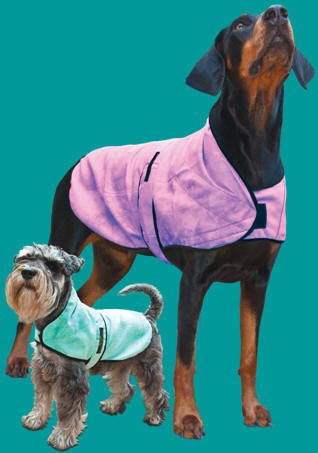 pukkapooch's tweet photo. Eco cooling apparel available via the website. Cooling coats, bandannas and mats in various colours. Royal wedding, velvet, embroidery patch for £5 with a coat purchase. 10% profits - @DogsTrust &amp; remaining - skills training for marginalised. #harryandmeghan @KingstonUniBiz https://t.co/WUeDagneB7