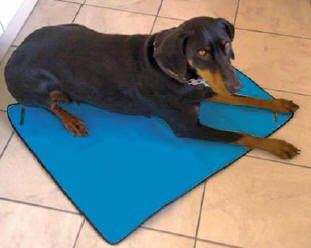 pukkapooch's tweet photo. Eco cooling apparel available via the website. Cooling coats, bandannas and mats in various colours. Royal wedding, velvet, embroidery patch for £5 with a coat purchase. 10% profits - @DogsTrust &amp; remaining - skills training for marginalised. #harryandmeghan @KingstonUniBiz https://t.co/WUeDagneB7