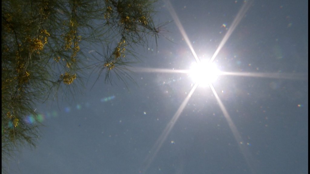 12News's tweet image. New solar plant in Casa Grande to provide power for SRP customers 12ne.ws/2wHRDTk