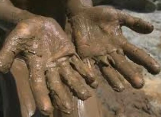 Comprendre la fascination d'un retour à la #nature , quelle qu'en soit sa forme (humaine, alimentaire, décorative, relationelle...)  Un #vlan avec <a href="/gregfromparis/">gregfromparis</a> tinyurl.com/y7tdkn9u #ensauvagement #bio #RAW