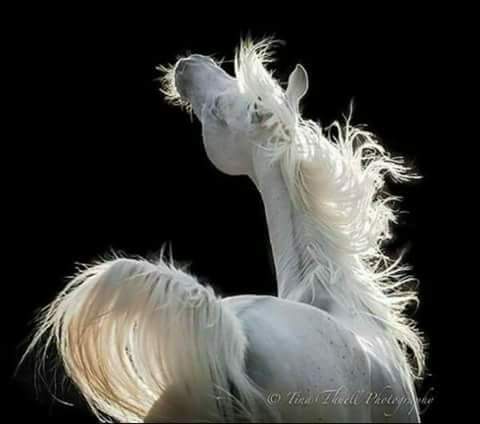 اللهم اجعل هذا الشهر فاتحة خير لنا ، وبداية اجمل الأقدار ،
 و حقق لنا مانتمنى وبلغنا رمضان لا فاقدين ولا مفقودين يارب