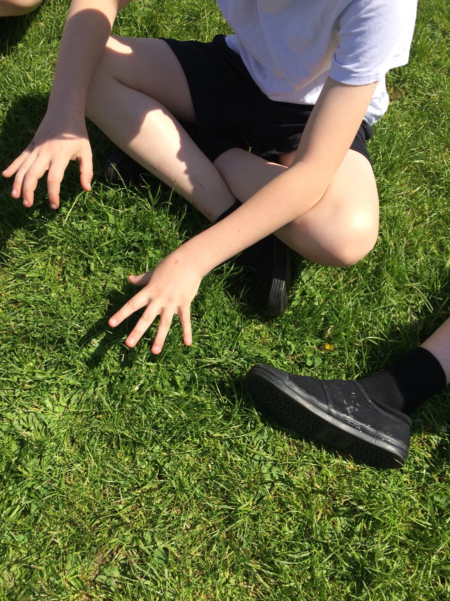 mattocks_ps's tweet photo. Love PE in the sunshine! Miss J was glad her team won the warm up relays 😉 #itwasntadraw #ididntcheat and we enjoyed some more ‘better movers and thinkers’ exercises #outdoors #PE #dinosaurfingers https://t.co/0mLyylb76o