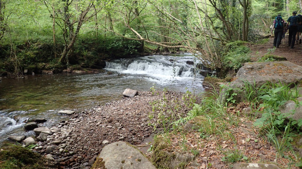 Olly Parry-Jones tweet media