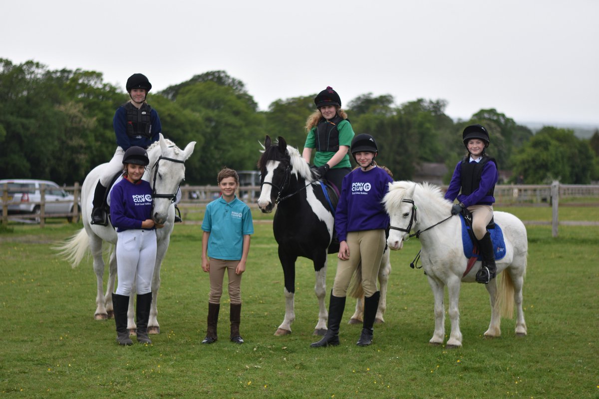 ParkLaneStables's tweet photo. Great evening 4 our @Young_Eq at Great Bookham Equestrian Centre, lovely friendly venue, so proud of all our riders and horses. #horsesinlondon #youdontneedtoownapony #ponyclub #summerevenings https://t.co/D4b9JU8OIB